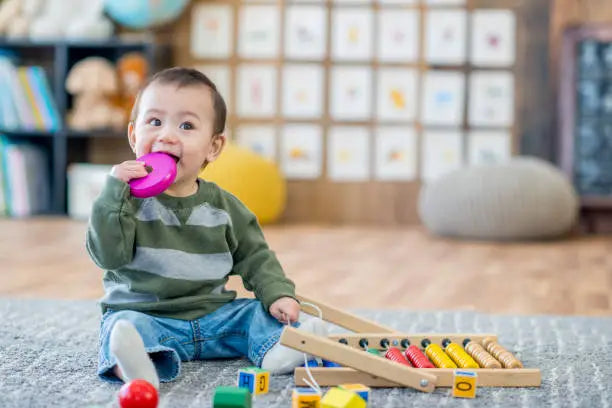 Infant Toys